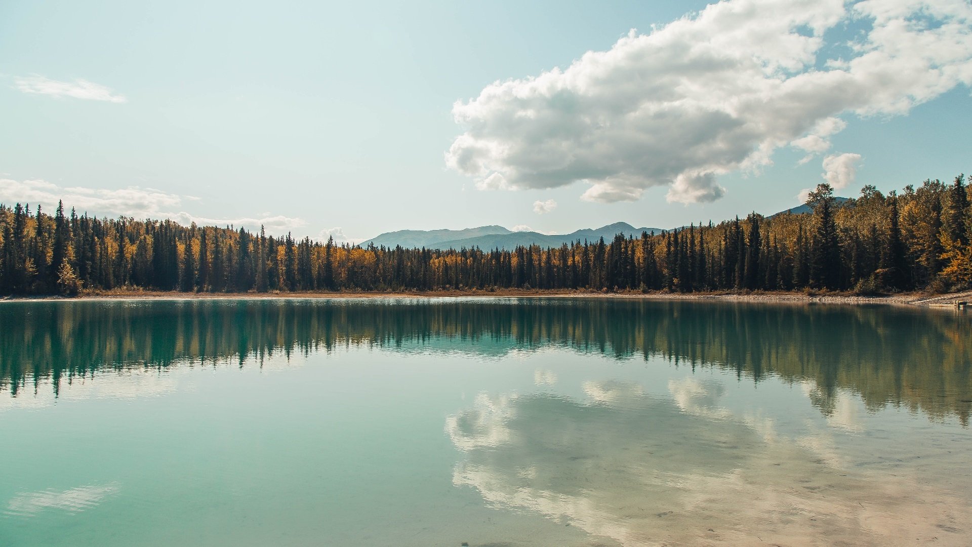 爱游戏在线登录入口-国际拳击锦标赛中国队夺得多枚金牌，实力强劲，国际拳击争霸赛视频